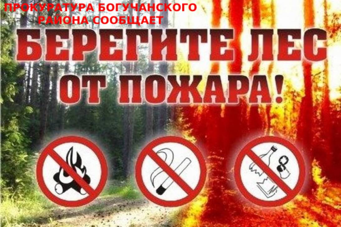 Берегите лес от пожара.