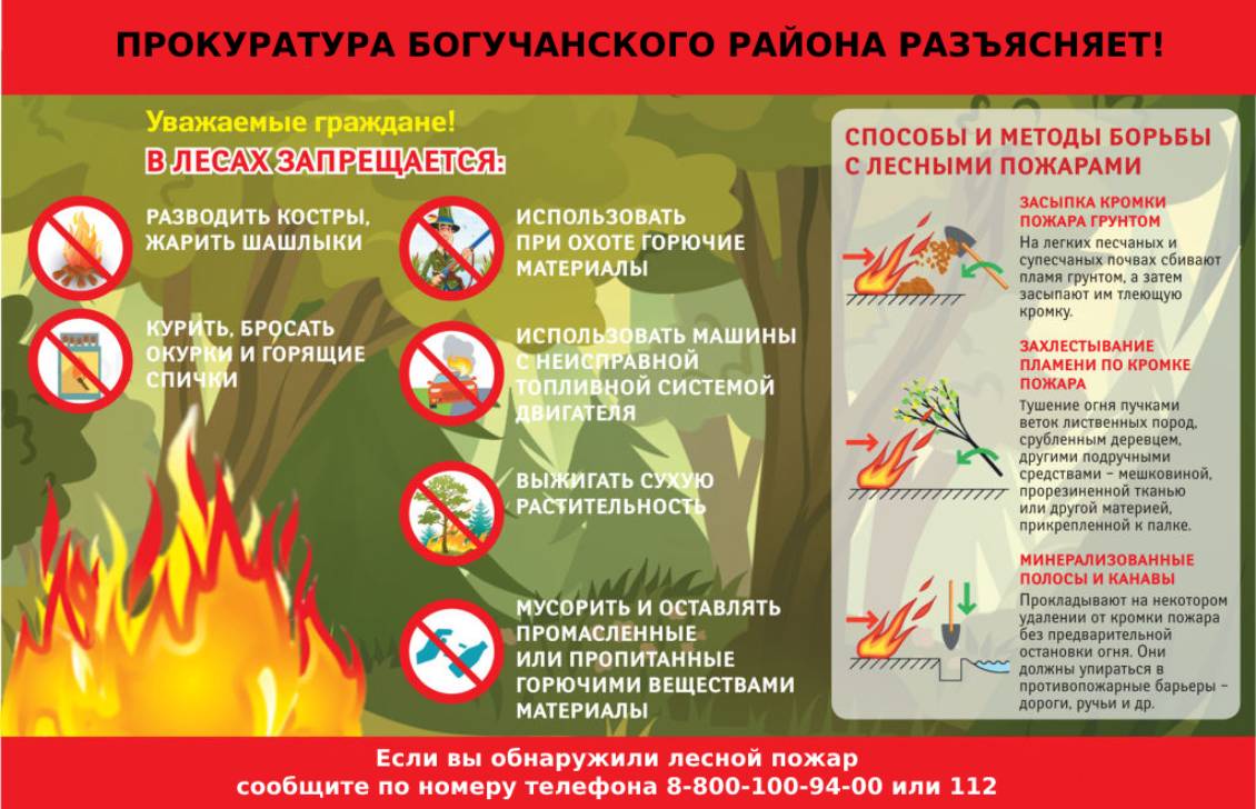 Уважаемые граждане! В лесах запрещается:.